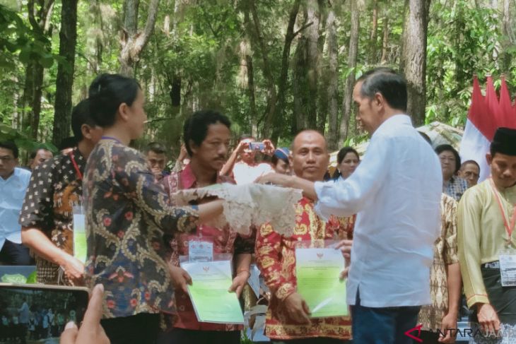 Menko Perekonomian: Perhutanan Sosial dikombinasikan bantuan permodalan