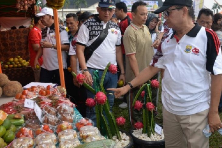 Pasar Tani meriahkan HUT Provinsi Jambi