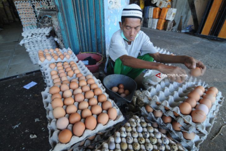 Pedagang: Harga Telor Naik karena Banyak Dikirim ke Luar Kota