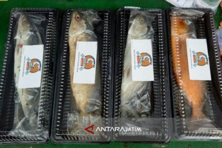 Alumnus UMM Produksi