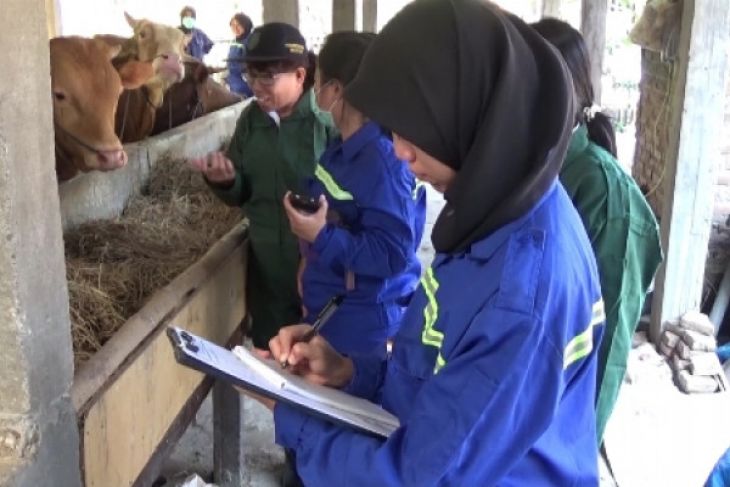Pemkab Madiun Sosialisasikan Hewan Kurban Penuhi Syarat