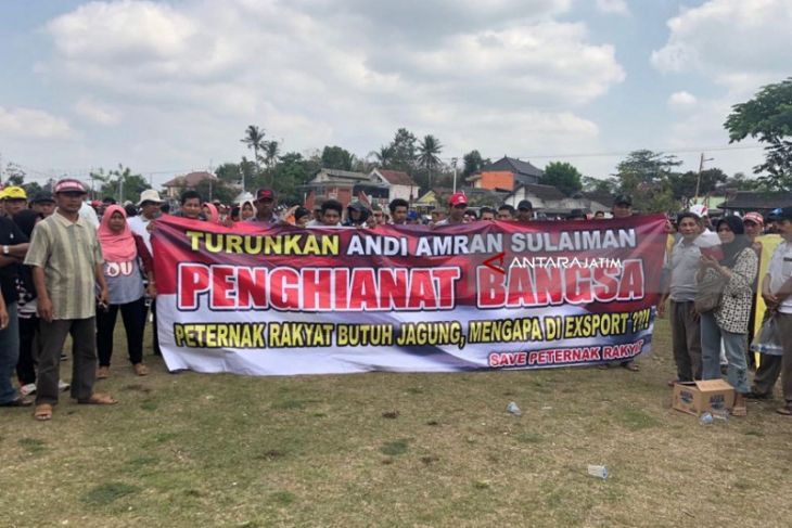 Peternak Ayam di Blitar Keluhkan Ketersediaan Pakan Jagung