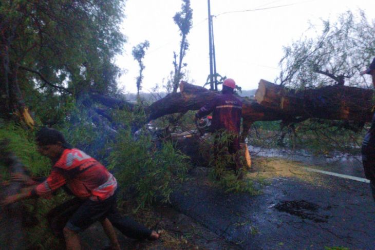 Angin Kencang Melanda Lima Kecamatan di Magetan