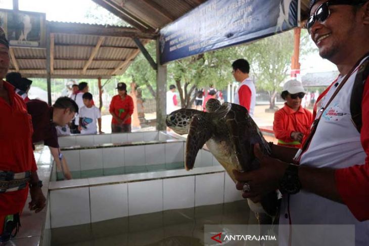 Berselfie dengan Penyu di Tanjung Benoa