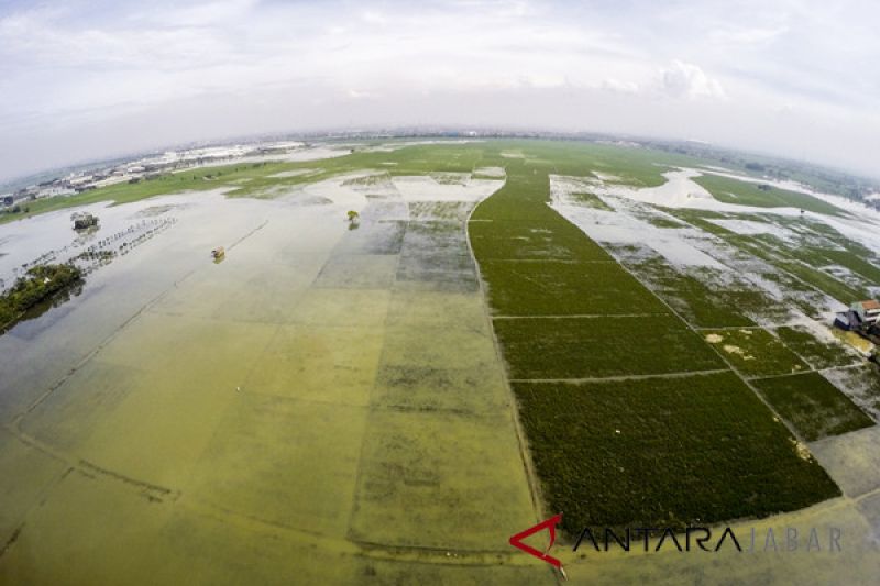 Kabupaten Garut usulkan cetak sawah baru 2019