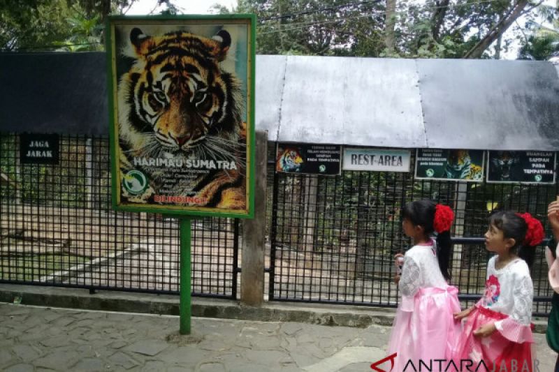 Petugas sosialisasikan pilkada di Taman Satwa Cikembulan