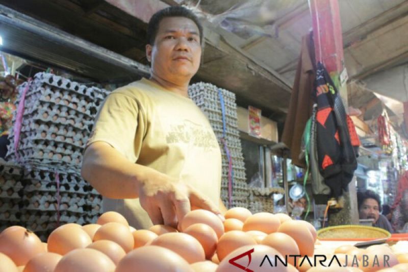 Harga telur di Kabupaten Bandung Rp29.000/kg