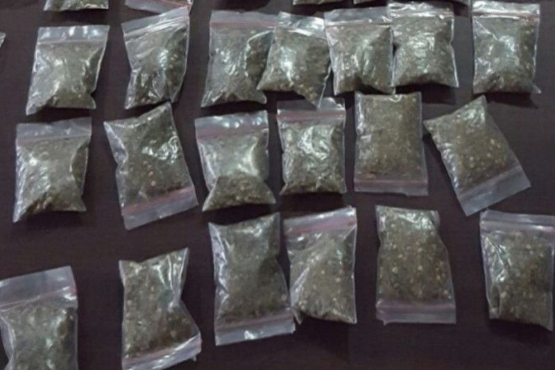 Ibu rumah tangga ditangkap Polisi gara-gara ganja