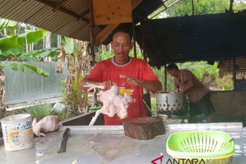 Permintaan ayam potong di Sukadana tetap tinggi pascalebaran