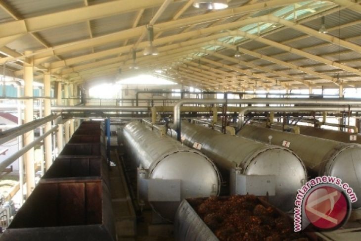 Retribusi cpo bisa sumbang pad Kalbar rp2 triliun