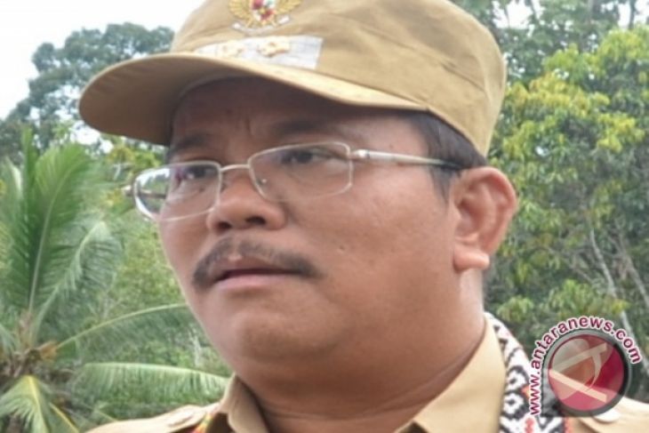 Rupinus - Aloysius Masih Unggul di Pilkada Sekadau