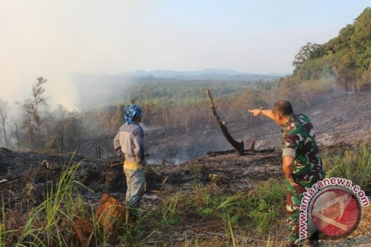 Polisi Tni Cegah Karhutla Di Tebas Antara News Kalimantan Barat