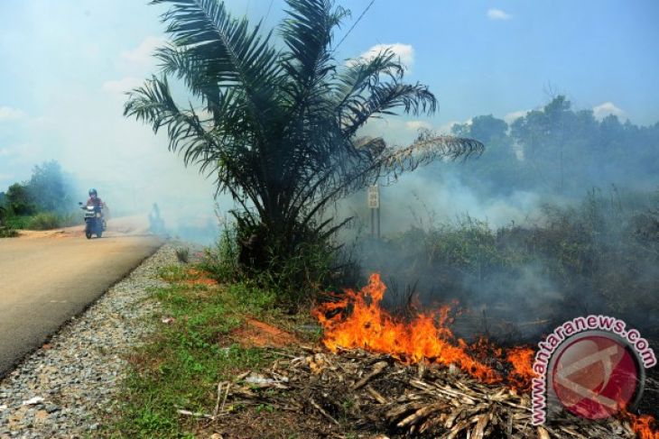 Upaya preventif penanggulangan karhutla