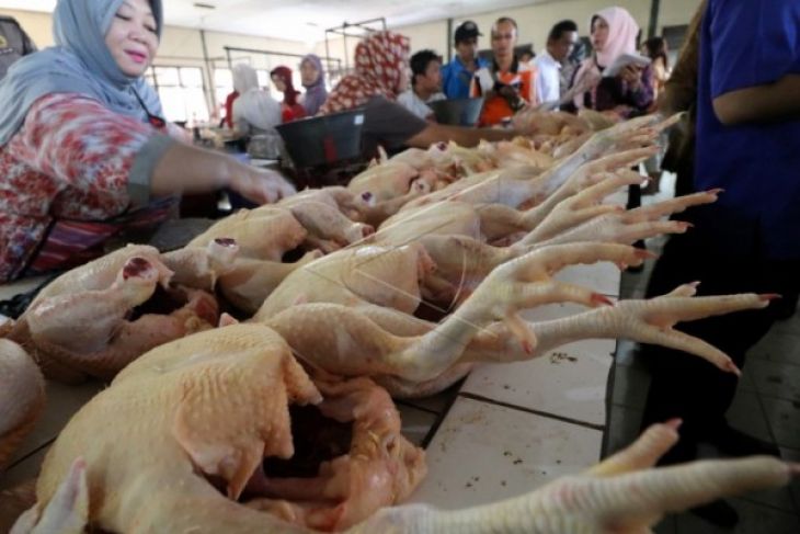 Komositas daging dan telur diperkirakan sumbang inflasi