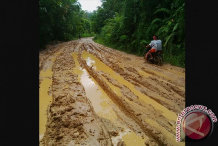 Warga perbatasan puring kencana menunggu pembangunan infrastruktur
