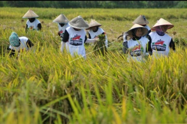 Pembentukan poktan guna memaksimalkan potensi pertanian desa