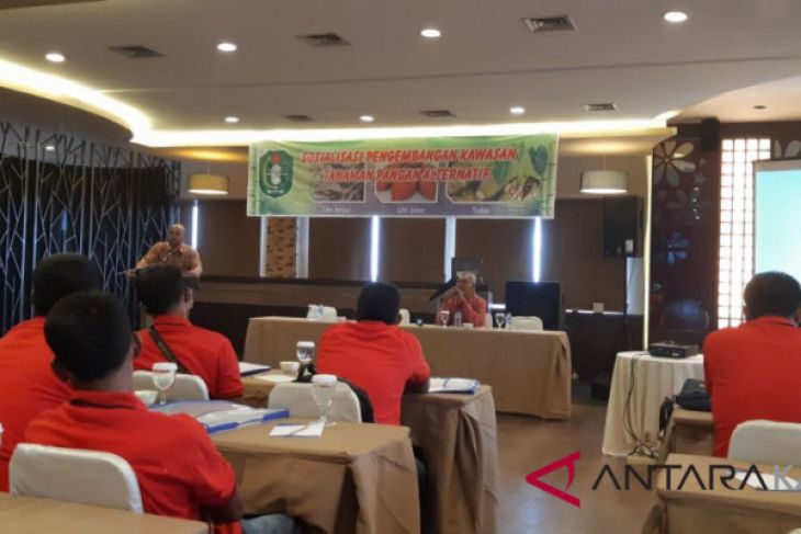 West Kalimantan encourage alternative food crops areas