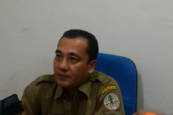 Pembalakan hutan secara liar masih menonjol di Kalbar