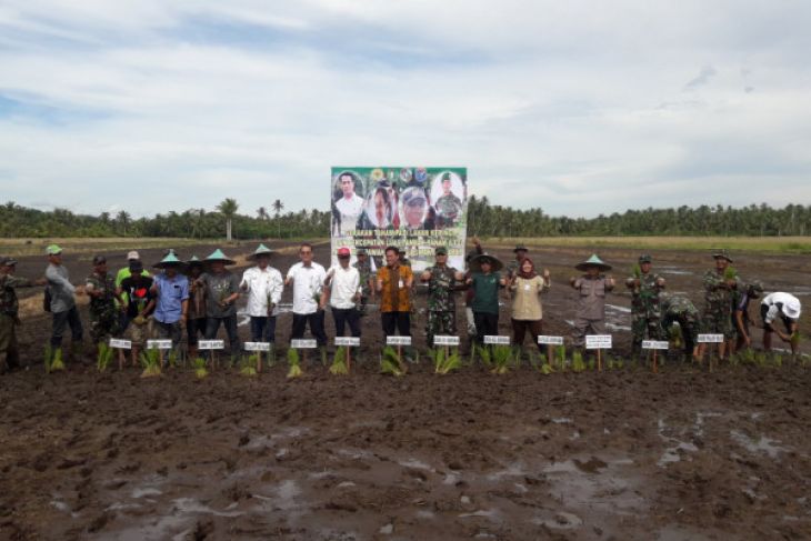 Mempawah doing dry land rice farming movement