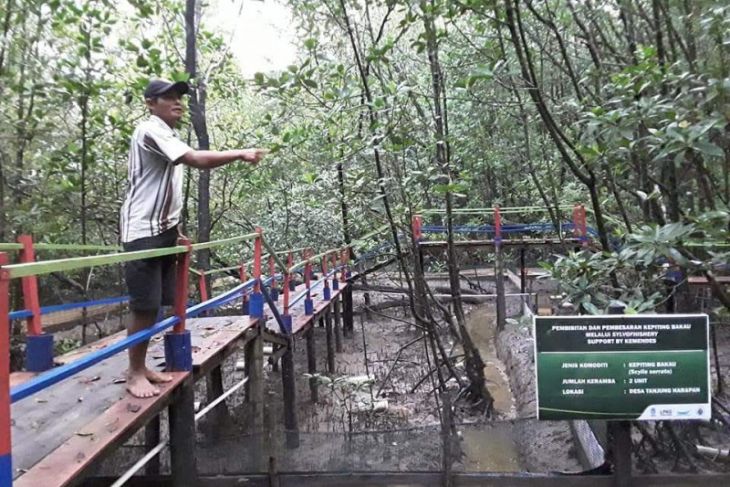 Warga pertanyakan realisasi permodalan BLU di Padang Tikar