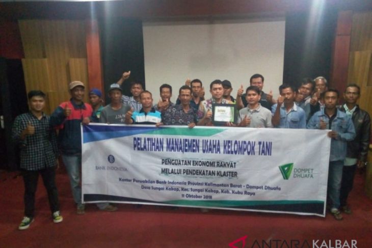 BI - Dompet Dhuafa bina petani cabai