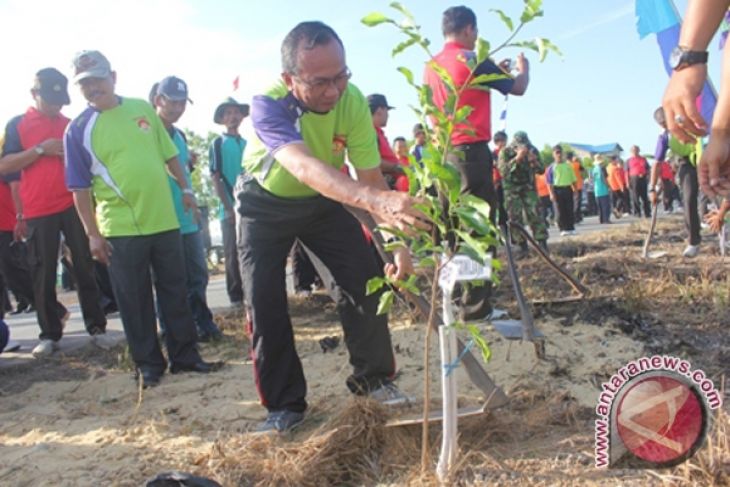 Revolusi Hijau Tunjang Rehabilitasi Lahan Kritis