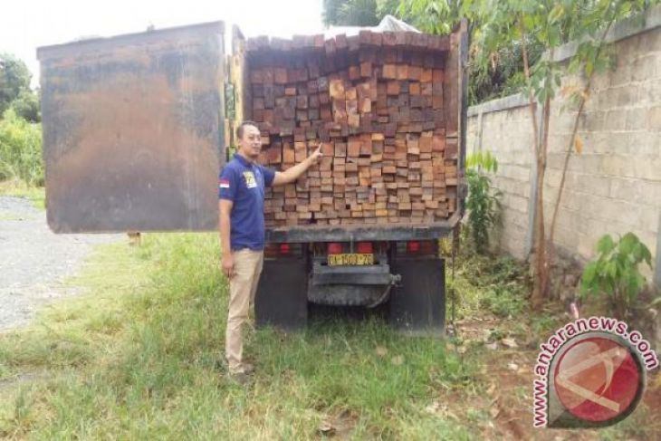 Dishut Amankan Dua Truk Pengangkut Kayu Ilegal