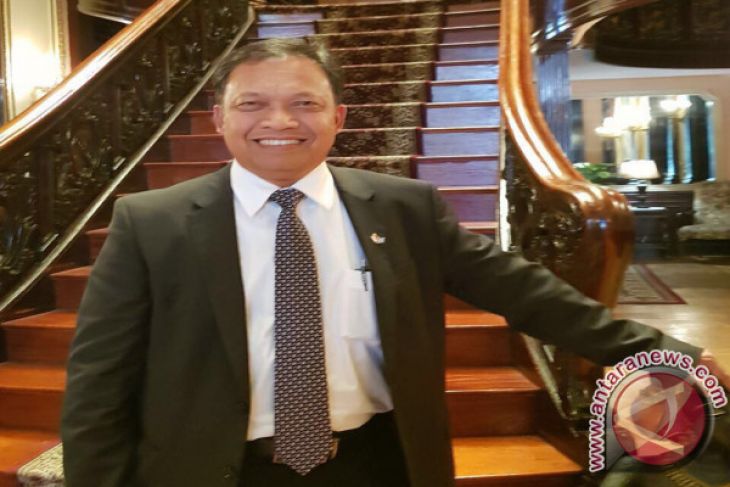 Peran Perkebunan Sawit Rakyat Makin Menguat