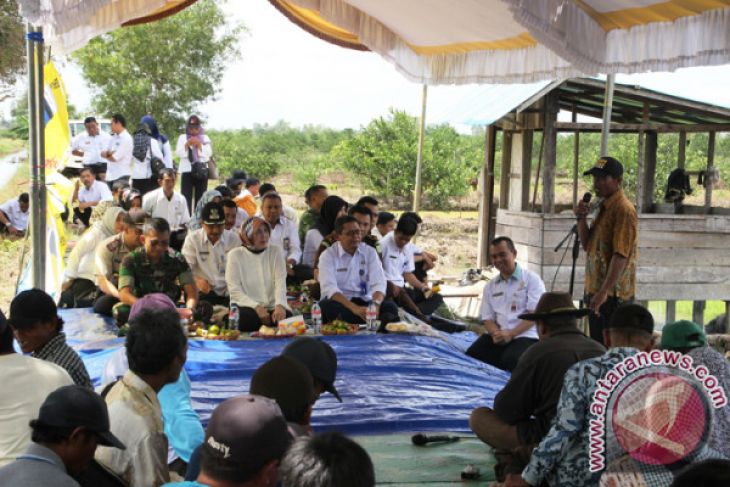 Pemprov Bantu Benih Padi Seluas 105.000 Hektare