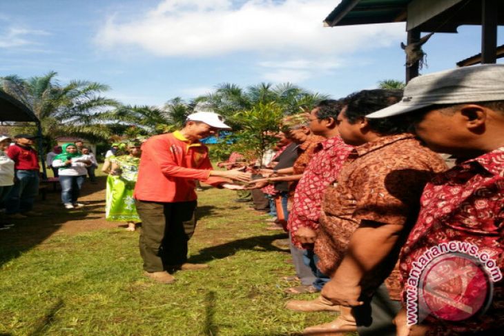 Yayasan Adaro Tanam 200 Bibit Pucuk Merah