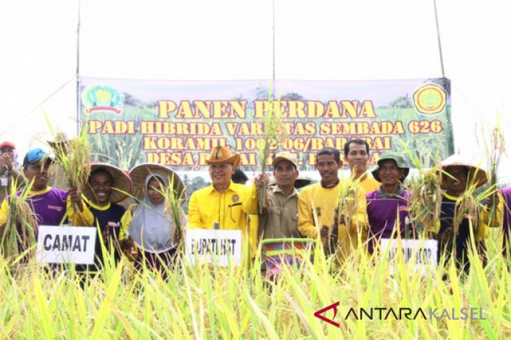 Distan perluas lahan dua kali tanam