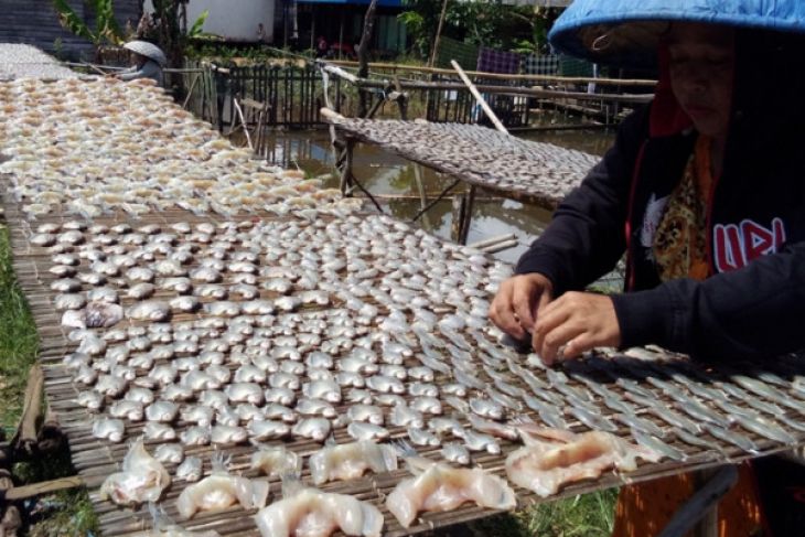 Nelayan berharap bantuan sistem penjualan ikan