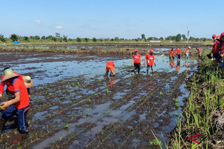 Districts and cities are asked to succeed World Food Day