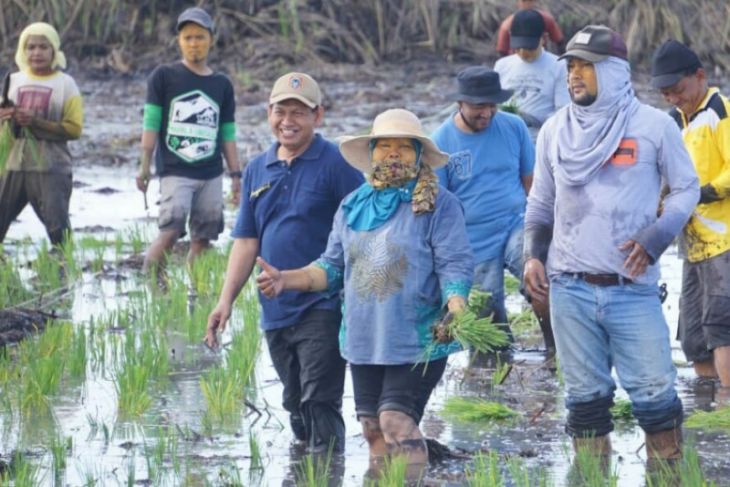 Pertanian di Jejangkit berkelanjutan