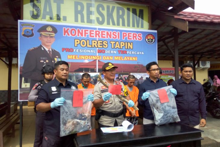 Polres Tapin Amankan Tiga Pelaku Penganiayaan Berat