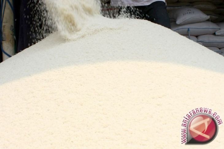 Harga beras di Penajam masih stabil