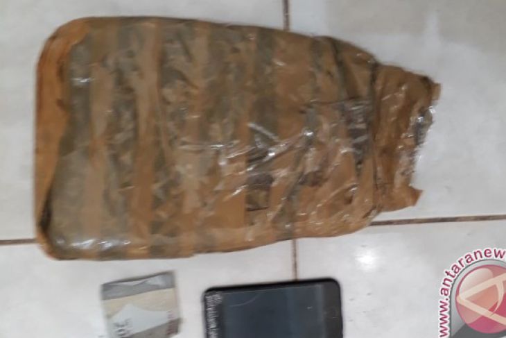 BNNP Kaltim Gagalkan Pengiriman 600 Gram Ganja dari Medan