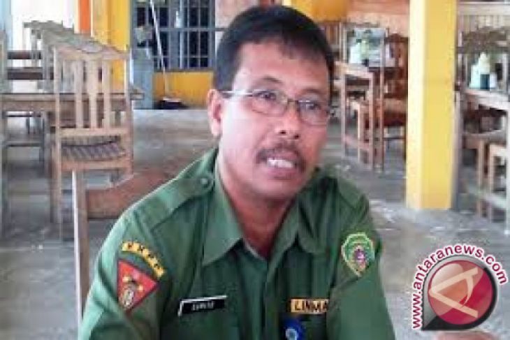 Ketersediaan beras Penajam tidak terganggu musim kemarau