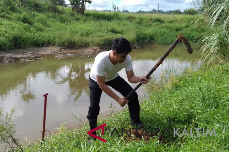Jalur hijau sungai Karang Mumus ditanami pohon