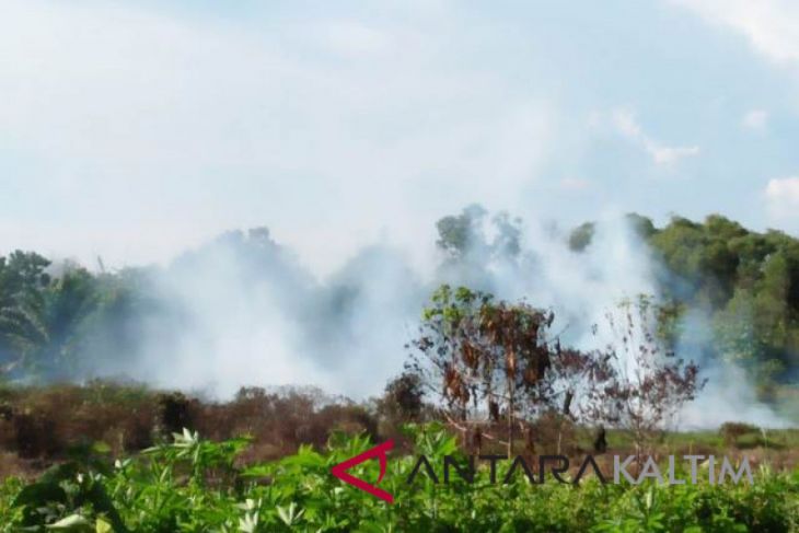 BPBD Penajam atasi 16 kasus kebakaran hutan-lahan