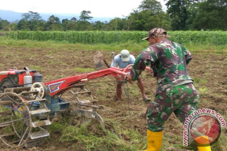 Petani Teluk Wondama kesulitan pupuk bersubsidi