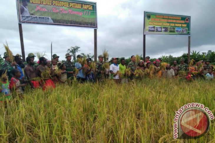 Demitrius Moktis Sang Pelapor Petani Padi Masyarakat Arfak