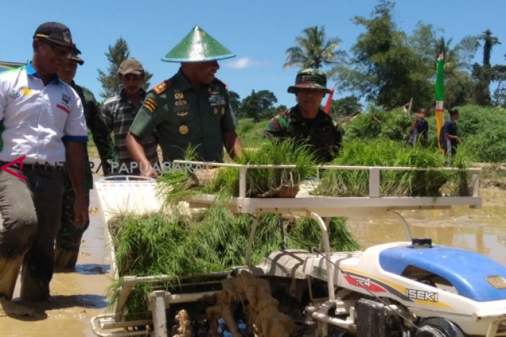 Pencetakan 150 hektare sawah baru Wondama tertunda