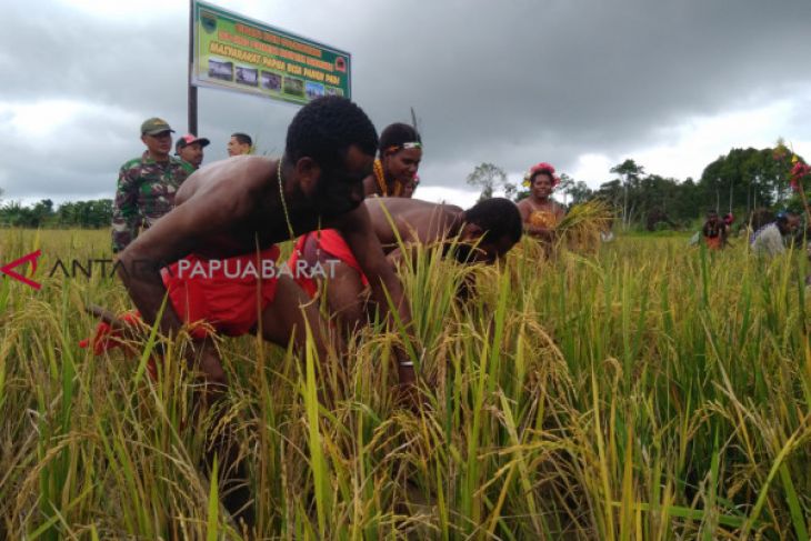 NTP Papua Barat meningkat 0,37 persen