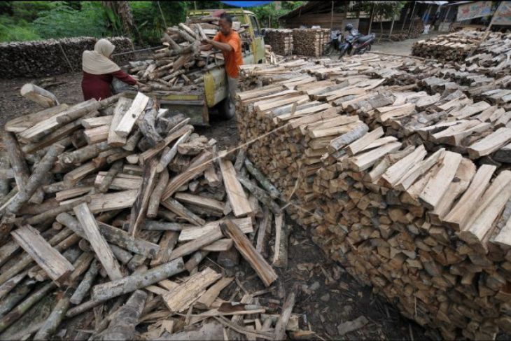 Warga Wondama kembali memanfaatkan kayu bakar