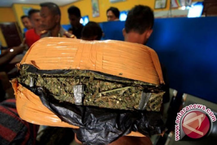 Polres Gagalkan Pengiriman 10 Bal Ganja ke Riau