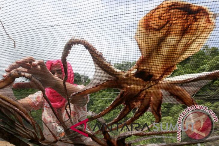 Tiongkok minati gurita Indonesia