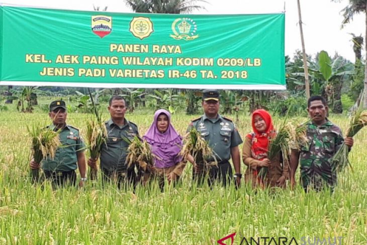 Kodim 0209/LB panen raya padi varietas IR-46