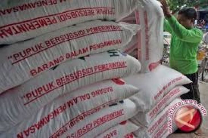 PD Tani salurkan 1448 ton pupuk subsidi bayar pasca panen