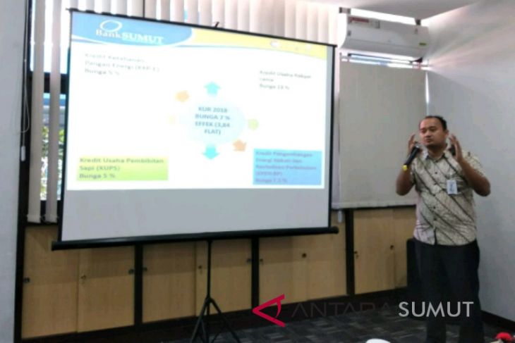 Bank Sumut sudah salurkan KUR Rp490 Miliar